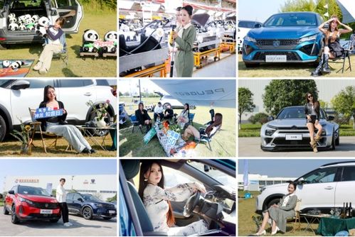 真誠，才是汽車消費的“必殺技”——從神龍汽車雙十一活動談起